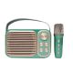 Rolinger Σύστημα Karaoke με Ασύρματo Μικρόφωνo WY-YS104 σε Πράσινο Χρώμα-OEM