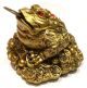 Διακοσμητικός Βάτραχος Ευημερίας Feng Shu 9x6cm χρυσο