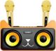 Σύστημα Karaoke με Ασύρματα Μικρόφωνα SDRD 305 σε 2 χρωματα